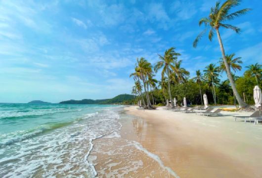 南部观光 – 沙奥海滩 – 胡国岛寺（陆路游览 1）【参观珍珠养殖场——了解岛上的珍珠养殖文化。 参观当地一家家庭胡椒农场，了解不同种类的胡椒香料。 参观鱼露工厂，了解鱼露（越南籍烹饪中*常用的配料之一）的制作过程。】