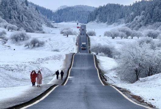 仙女山赏雪、玩雪一日游【品质纯玩+正规旅游车+多套餐可选】【[度假精选]滑雪、赏雪、玩雪，滑雪场设有滑雪橇、雪上飞碟、滑雪船等不同滑雪项 目】