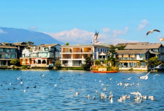 云南：大理市洱海环湖私享日游【专车接送 | 英文导游服务 | 可定制行程 8小时深度体验 | 行程张弛有度 | 无购物环节 一价全包 | 无忧体验 | 深度沉浸】