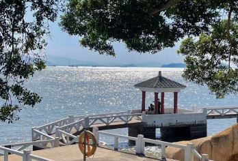 鼓浪屿+菽庄花园+钢琴博物馆一日游【屿海有约  2-9人团】【2-9人小团 金牌导游讲解服务 纯玩无购物】