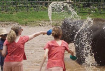 清迈秘密大象营一日游【半日游套餐|粘粘瀑布|中文导游】【中文服务、酒店接送、含餐】