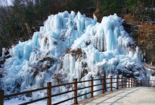 冬季限定|鱼飞溪谷冰川X小法国义大利村X南怡岛X晨静树木园夜【冬季的鱼飞溪谷冰川就像一幅冰雪童话！晶莹剔透的冰壁在阳光下闪耀，让您仿佛置身于仙境般的探险之旅！】
