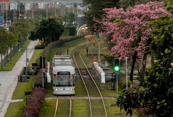 广州1日游北京路步行街+陈家祠+白云山+私家包团+外观广州塔【私家旅行：一单一团，不拼客，专属旅行、品质服务：小车上门接送，专职司机护航】