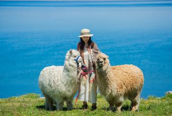 新疆赛里木湖一日游【多套餐可选+纯玩0购+直通景区不换乘】【[精华景点]有一种蓝，叫赛里木湖蓝！邂逅