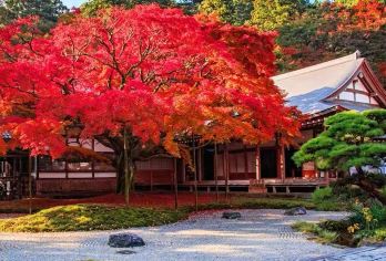 日本九州糸岛+白丝瀑布+雷山千如寺+夫妇岩+福冈塔一日游【九州经典景点一日游】