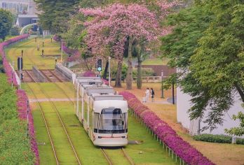 广州一日私家团|有轨电车+白云山+经典景点【可选珠江夜游】【一次行程游遍九大景点，融合了广州经典的代表景点 。特别安排乘索道或电瓶车上下山，轻松畅游白云山。】