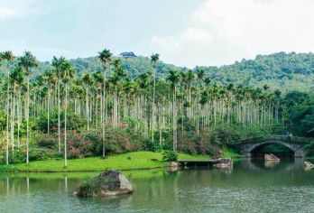 呀诺达一日游【品质出游】