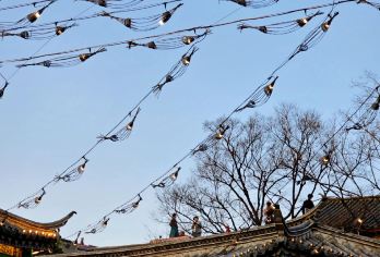 昆明官渡古镇+云南省博物馆+圆通山动物园一日游中英文服务【官渡千年妙香国，省博珍萃溯滇史，圆通樱潮醉春城，一城尽览古韵新声】