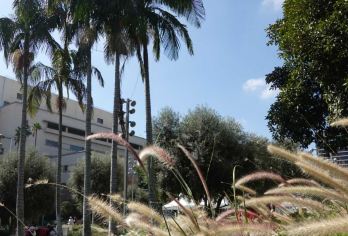 美国一号公路+洛杉矶-旧金山全路段/可多忝定制-咨询立享优惠【专属客服和本地中文司机，一家一团包车】