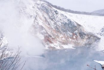 日本北海道+旭山+森林精灵阳台一日游/行程可调-可定制多日游【专属客服和本地中文司机，一家一团包车】