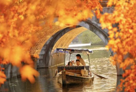 杭州西湖半日游【乘游船登三潭印月岛+赏西湖十景+人工讲解】【[赏西湖十景]一条线路打卡西湖十景，听导游解读每个景点独特的历史故事和自然风光！】