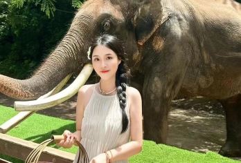 西双版纳野象谷+森林公园纯玩一日游【大象互动+孔雀放飞】【[精品纯玩]纯玩无购物，无任何隐形消费~】