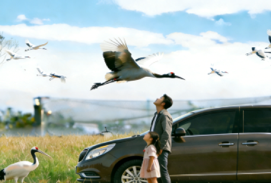 中华麋鹿园＋荷兰花海＋丹顶鹤湿地生态旅游区包车游【盐城出发】【睡醒出发，说走就走的旅行，真正的无购物无隐形消费，包含用车、可加订专业导游，让您的旅途更精彩！】