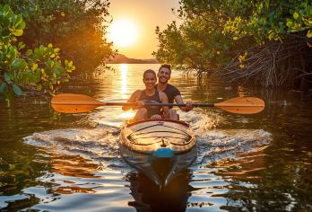 紫岛私人皮划艇探险之旅【在皮划艇探险中穿越古老的红树林 观赏稀有候鸟，包括火烈鸟和礁鹭 探索宾加南岛，领略其丰富的历史底蕴】