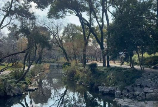 苏州拙政园+寒山寺+山塘街【纯玩懒人专线可自选虎丘9:50】【纯玩无购物 专职专线导游管家式服务 全程舒适旅游大巴！】