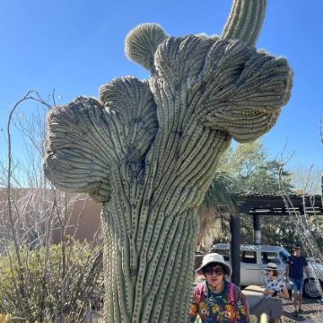 美国凤凰城-斯科茨代尔-仙人掌公园-巨人柱国家公园-包车精选