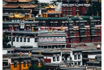 黄洮交汇观景平台+刘家峡大桥+拉卜楞寺+桑科草原一日游 纯玩【撼奇观+工程壮景： 目睹黄河洮河“泾渭分明”的视觉奇观，俯瞰刘家峡大桥与峡谷水库的壮阔画卷。】