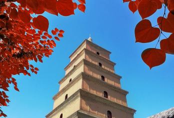 西安市内游钟鼓楼+城墙+驼铃/千古情+大唐不夜城一日游小车接【小车出行，三环内接，天天发团，时间自由，亲子家庭出游必选】