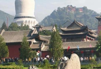 忻州五台山+梵仙山+五爷庙+殊像寺+塔院寺一日游可英文服务【可提供英文及小语种导游服务-往返接送-可选导游-可代订门票】