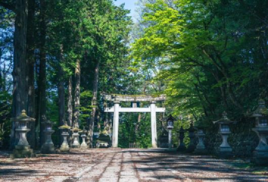 日本名古屋白川乡+飞驒高山一日游【中文服务/景点任选】【尊享一对一高端行程定制，豪华包车专属礼遇，专业旅行顾问24小时恭候垂询。】