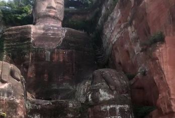 成都大熊猫繁育基地+乐山大佛一日游（晨起赏萌熊，午后瞻大佛）【可选外语导游|专车接送|行程可调|可定制行程】