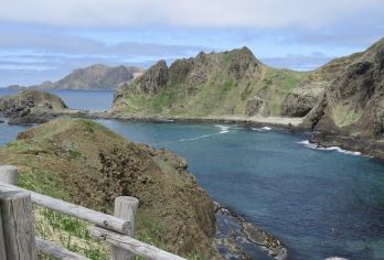 日本札幌-登别地狱谷-登别熊牧场【北海道专车 行程可定制】【中文专车出行，行程自己定义，无需等待，专属贴心服务，尽享惬意旅程】