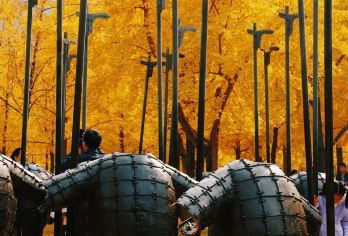 秦二世陵遗址公园+千古情一日游【赏银杏/观千古情/三环内接】【秋意渐浓，银杏正当时。】