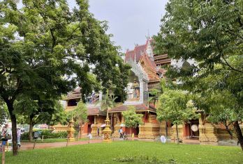 西双版纳| 野象谷+曼听御花园景区+湄公河星光夜市【全程中文司导，包车10小时服务】