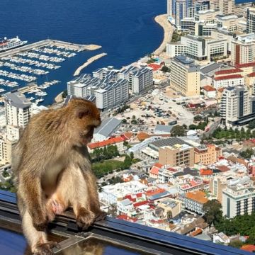 马拉加往返：直布罗陀1日游【可加选岩石摇滚之旅】