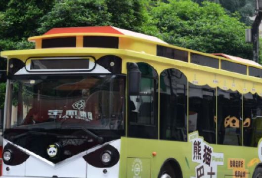 重庆熊猫巴士水路空一日游【专业讲解员全程服务！省心省力】