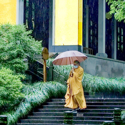 舟山普陀山风景区一日游