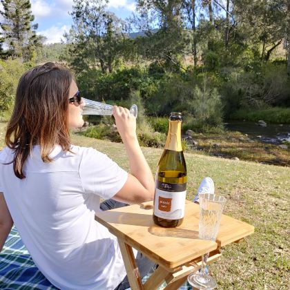 黄金海岸雷明顿+O'Reilly+葡萄园+树顶漫步一日游