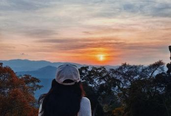 普洱景迈山+糯干古寨+翁基古寨一日游【18人小团丨非遗讲解】【[缤纷景点]茶香四溢，风景如画，千年古韵等你来探寻】