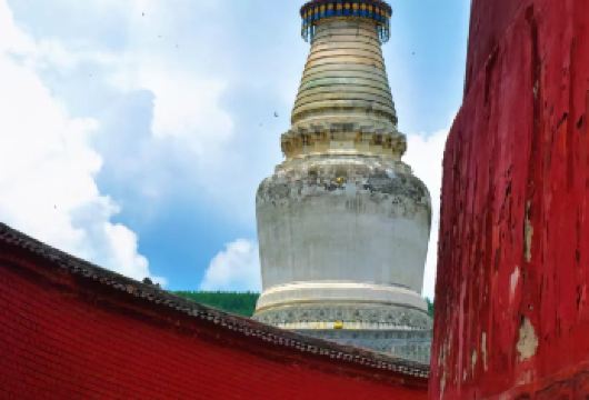 五台山祈福一日4-8人精品团【太原忻州市区接，朝拜文殊祖庭】【舒适小团出行：8人尊享小团，节奏自由把控，乘坐更加舒适，跟着自己的节奏走，更灵活；】