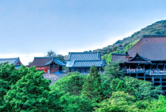 日本京都清水寺+伏见稻荷大社一日游【漫步京都古老街区，欣赏百年传统建筑】