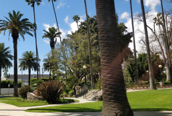 美国洛杉矶比佛利山+洛杉矶郡艺术博物馆+日落大道【中文专车】【10小时包车出行可协商合理安排时间】