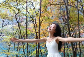 中国四川九寨沟一日游纯玩【专车接送/行程可调】【感受九寨沟的“翠海、叠瀑、彩林、雪峰、藏情”五绝风景，身临其境体验人间仙境。】