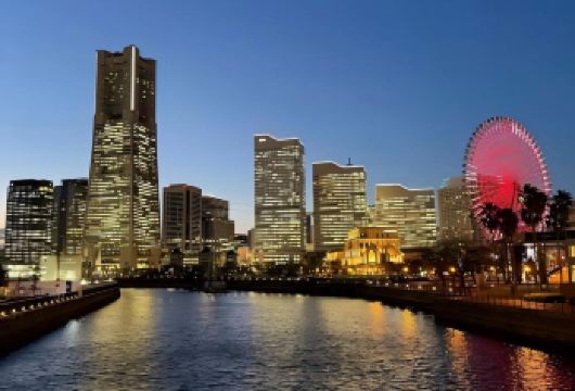日本东京+横滨港未来21一日游/行程可调-可定制多日【包车一日游，解锁旅行新方式！独立车辆配备经验丰富的老司机，为您量身打造专属行程。】