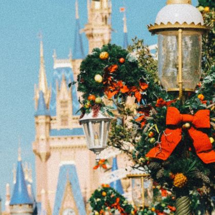 美国奥兰多华特迪斯尼+乐高世界包车一日游【亲子游|行程可调】