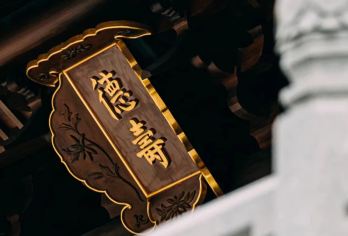 【1对1】杭州南宋德寿宫遗址2小时私享人工讲解半日（含预约）【持有国家导游证】