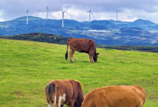 六盘水乌蒙大草原一日游【上门接送.无购物.开车进草原】【纯玩-无购物】