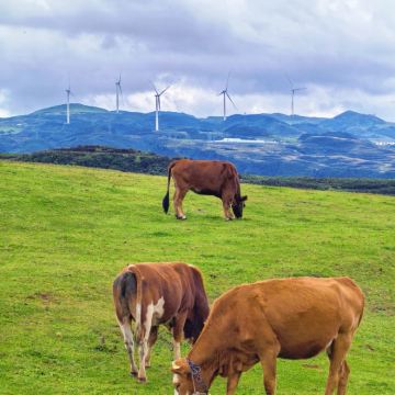 六盘水乌蒙大草原一日游【上门接送.无购物.开车进草原】