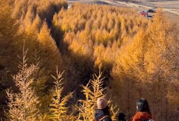 桦皮岭徒步1日【精华版9km徒步+新手友好+蓝天白云】【徒步塞外桃园】