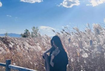 野鸭湖1日【网红打卡拍出芦苇漫天+柳沟豆腐宴+永宁古城】【北京城郊藏着的大西北】