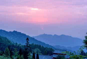 【成都出发·巴适得板】青城山+熊猫谷，包车一日“仙”耍攻略！【行程景点可调，可定制多日行程】