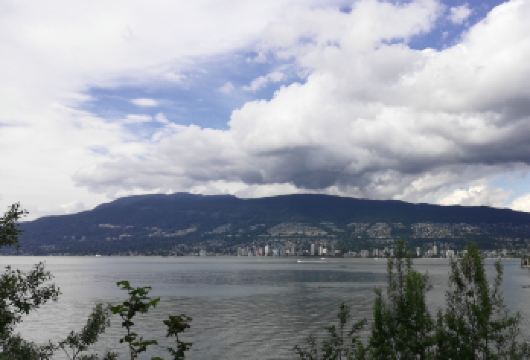 加拿大广场+固兰湖岛+伊丽莎白女王公园+煤气镇【精品包车，私享空间，上门接送，轻松出行】