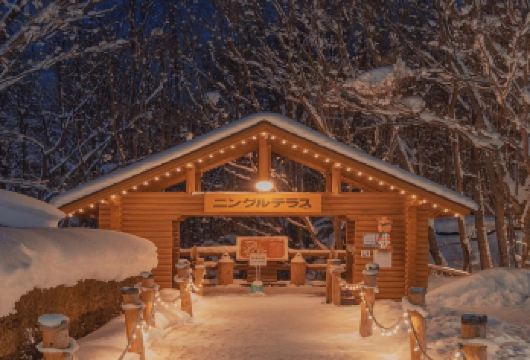 北海道旭川日游·旭山动物园【9人/巴士团】可选上门接送可赠票【[巴士中英文·优质服务]高好评服务，深耕北海道十余年，中英双语服务，出行无忧！】