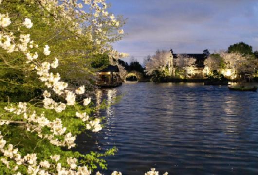 乌镇-濮院时尚gu镇5座/7座可选包车游可加中文/英文导游【1单1团·纯玩·专车 上门接送】