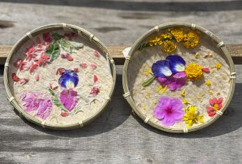 西双版纳原始森林公园+曼掌村一日游【酒店接送+探秘沟谷雨林】【1单1团，2人起订，以实际下单人数安排车型（5座轿车/7座商务车/9座商务车）等】