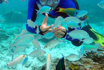 【暑期特惠】三亚凤凰岛水上项目7项体验畅玩票【7项摩托艇-小黄鸭-飞鱼-皮卡丘-草莓熊-滑水板-香蕉船体验】